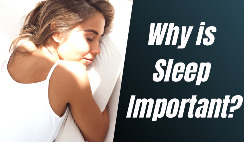 Why is Sleep Important